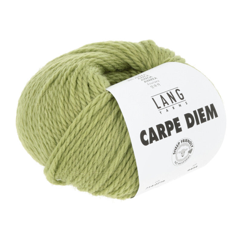 216 Matcha -	Carpe Diem - Lang Yarns - Garntopia