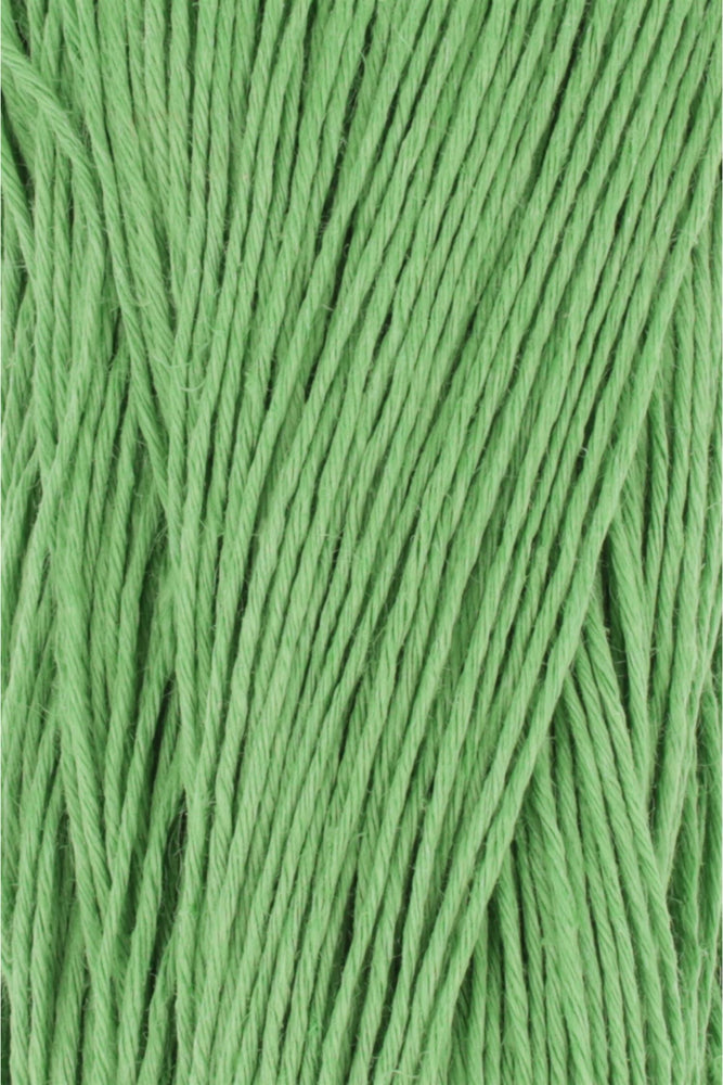 17     -	Crealino