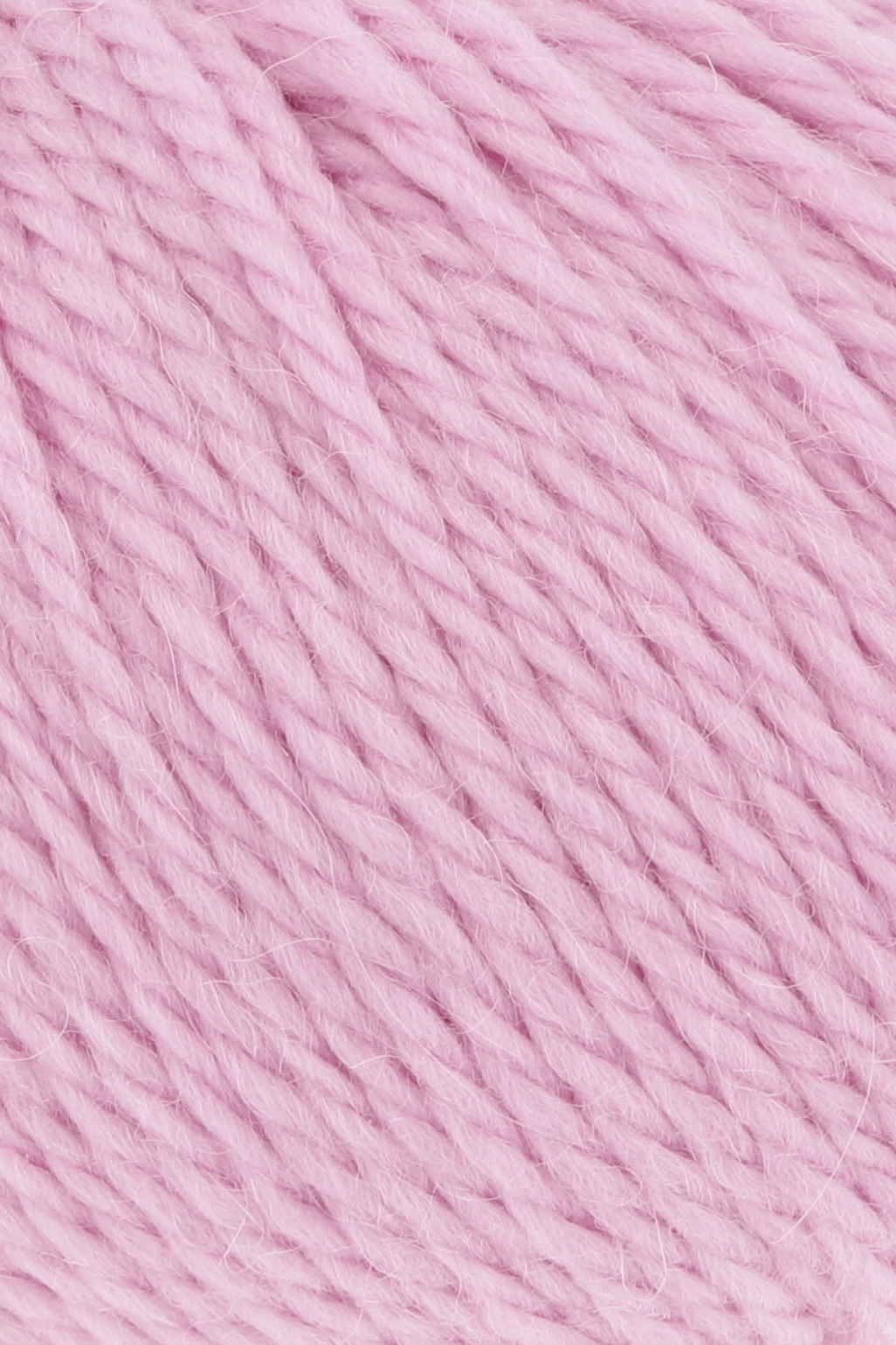 19 Rosa -	Carpe Diem - Lang Yarns - Garntopia