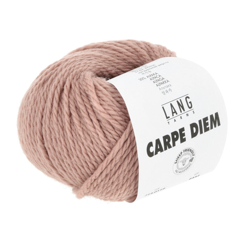 119 Pudderrosa -	Carpe Diem - Lang Yarns - Garntopia