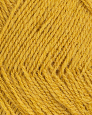 4805 Mustard Yellow - Finull Pt2