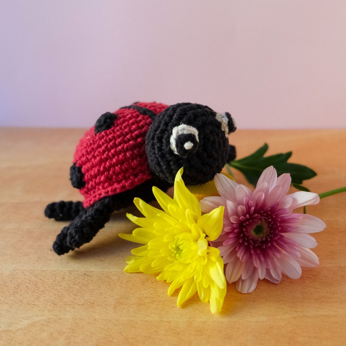 DIY Ladybird Daisy Heklekit - Hoooked Yarn - Hoooked Yarn - Garntopia